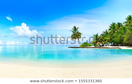 Stock photo: Beach Scenery