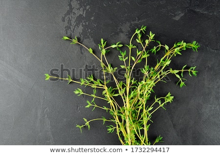 Stockfoto: Runge · Kruid · Achtergrond