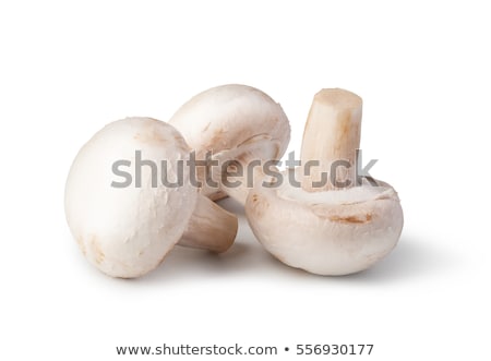 Foto d'archivio: Edible White Mushrooms