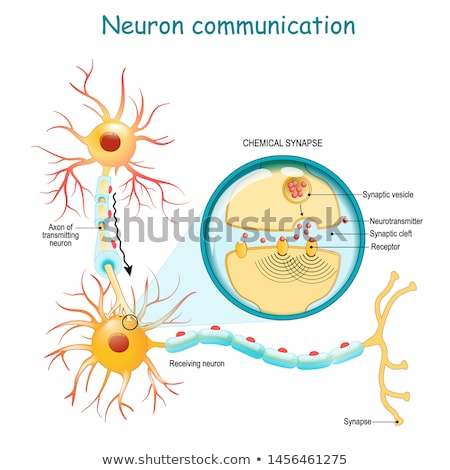 Сток-фото: Chemical Synapse