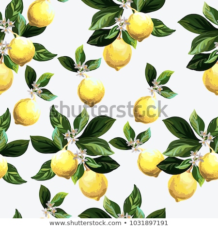 Сток-фото: Vintage Lemon Label On Seamless Pattern