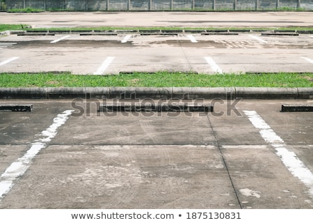 ストックフォト: Grass Growing Outdoors Against Abstract Grey Background