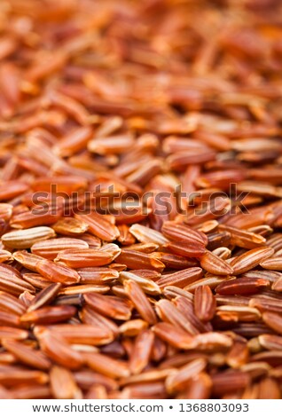 Stock photo: Fresh Raw Organic Basmati Long Grain And Wild Rice Healthy Food Macro Texture