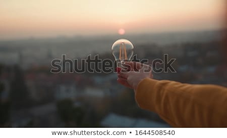 Stock foto: Female Hand Holding A Light Bulb