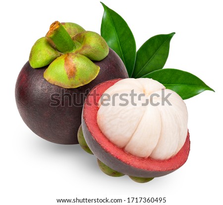 Stock photo: Mangosteen