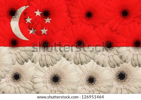 Stylized National Flag Of Singapore With Gerbera Flowers [[stock_photo]] © vepar5