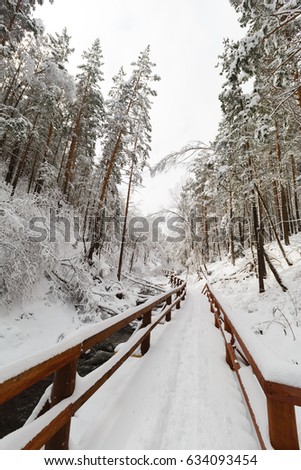 Stock photo: Birch Forest In Winter And Blue Fence