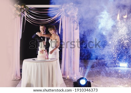 Foto stock: Happy Bride And Groom Cut The Cake Evening Ceremony