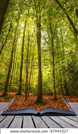 Stock photo: Autumn Fall Forest Landscape Magic Book Pages