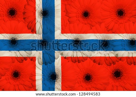 Stylized National Flag Of Norway With Gerbera Flowers [[stock_photo]] © vepar5