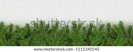 Stok fotoğraf: Christmas Green Branches Transparent