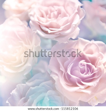 Stock fotó: Wild Flower Bouquet On Pastel Color Background