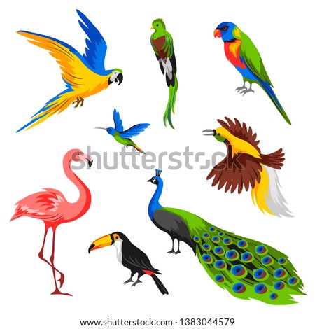 Stock fotó: Wildlife And Rainforest Exotic Tropical Birds In A Bird Park