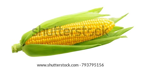 Stock photo: Corn On The Cob