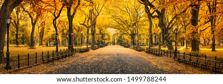 Stock photo: Autumn Park