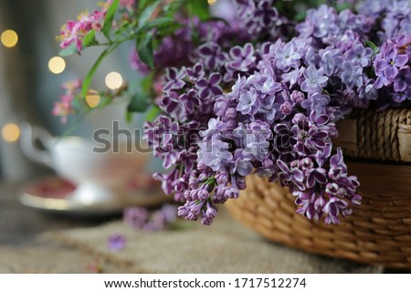 Stock fotó: Fresh Lilac Flowers