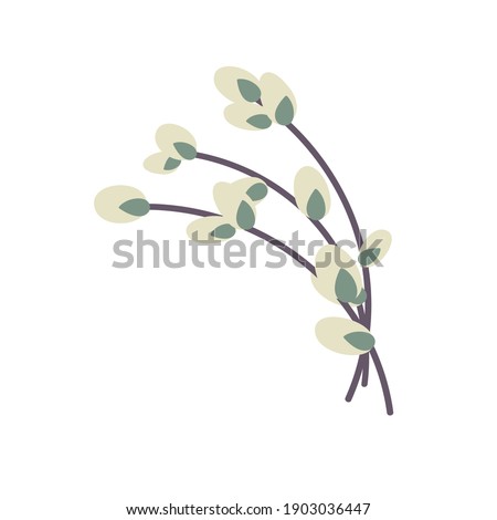 Foto stock: Willow Twigs