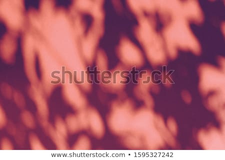 Foto stock: Abstract Art Botanical Shadows Overlay On Brown Background For