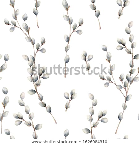 Foto stock: Easter Background With Pussy Willow