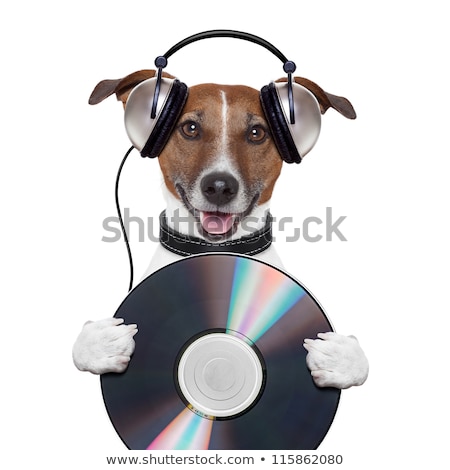 Foto stock: Music Headphone Cd Dog
