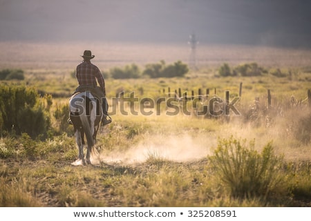 Stok fotoğraf: Texas Cowboy