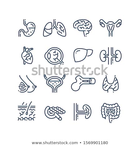 Foto stock: Ovaries Vector Icon Logo Symbol