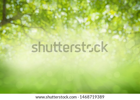 Stok fotoğraf: Abstract Concept Tree Background