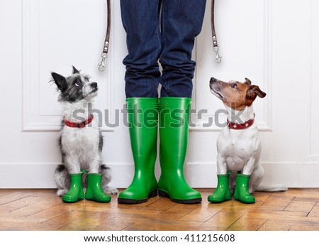 ストックフォト: Dog Rubber Rain Boots