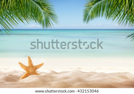Seashells On Beach Sand [[stock_photo]] © Jag_cz