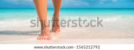 Karibischer türkisfarbener Strand Stock foto © Maridav