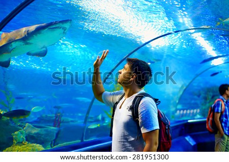 Zdjęcia stock: Curious Tourist Watching With Interest On Shark In Oceanarium Tunnel