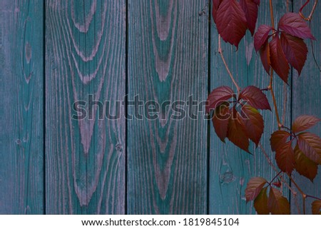 Zdjęcia stock: Old Grunge Paper With Autumn Maple Branch Leaves On The Wooden B