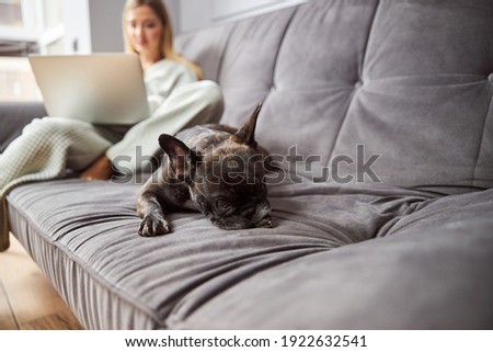 Stockfoto: Pretty Woman In Robe Lying On Couch With Laptop