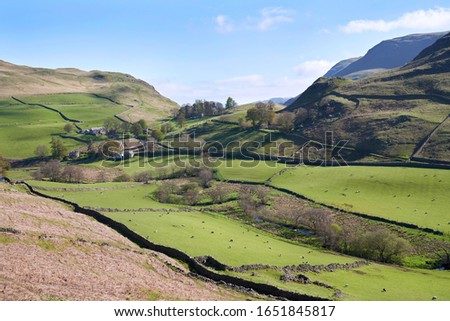 Stock photo: Sheep Grazing In Farm Landscape On Sunny Day In Peak District Uk