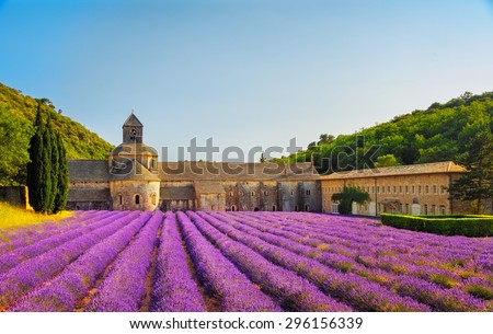 Stock photo: Abbey Of Senanque Blooming Lavender Flowers On Sunset Gordes L