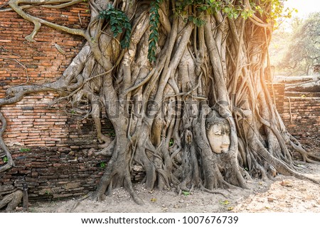 Stock photo: Buddha Head In Banyan Tree At Ayutthaya