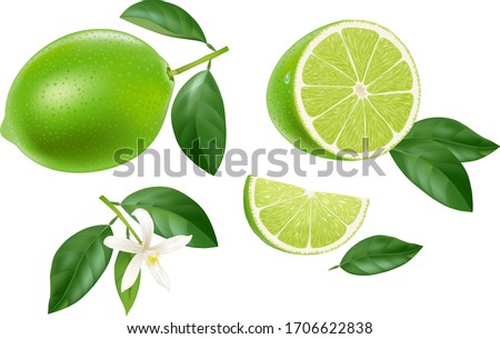 Stock fotó: Fresh Juicy Green Lime