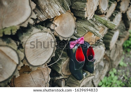 Stok fotoğraf: Pair Of Black Male Business Shoes And Pink Tie