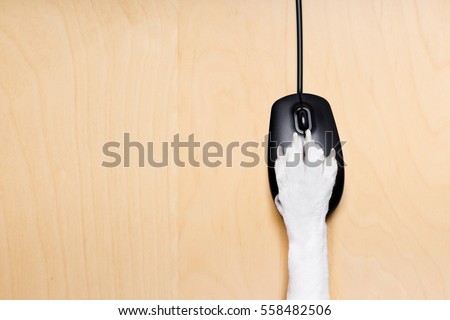 [[stock_photo]]: Click With Paw On Computer Mouse