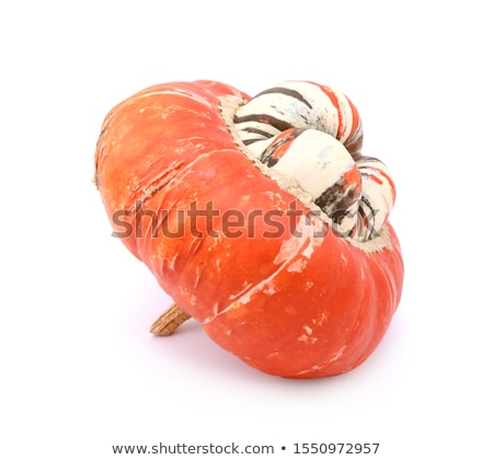 Zdjęcia stock: Profile Of Turks Turban Squash With Raised White Centre