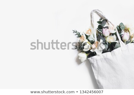 Stockfoto: Tulips And Daffodils Flowers