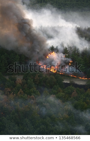 Сток-фото: Fire In The Forest Of Wildfire Photographed From A Helicopter