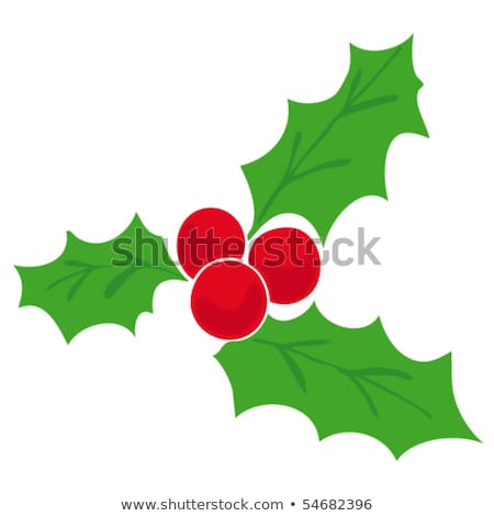 [[stock_photo]]: Cartoon Shiny Christmas Holly Decorative Ornament