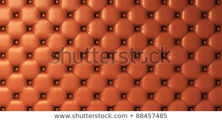 Stok fotoğraf: Sepia Picture Of Genuine Leather Upholstery