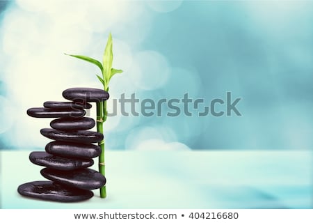 [[stock_photo]]: Hérapie · Lastone