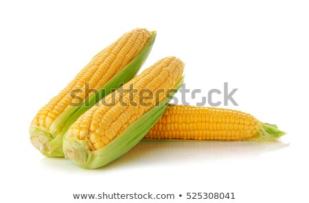 Zdjęcia stock: Young Sweet Corn On The Cob