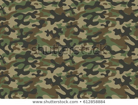 Stok fotoğraf: Camouflage Vector Pattern