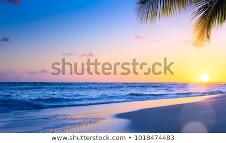 Sunset Over Tropical Bay With Palms Zdjęcia stock © Konstanttin