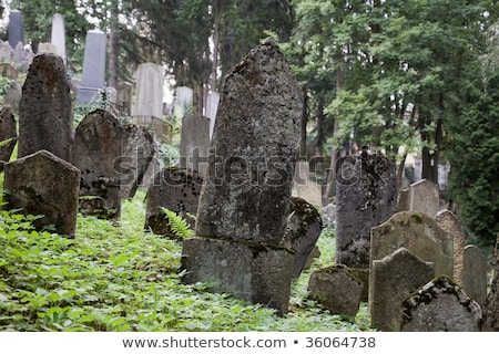 Zdjęcia stock: Jewish Cemetery Trebic Czech Republic