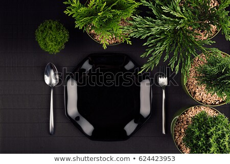 Stock fotó: Eco Dark Modern Minimalistic Restaurant Menu Mock Up With Black Glossy Plate Spoon Fork Cup And